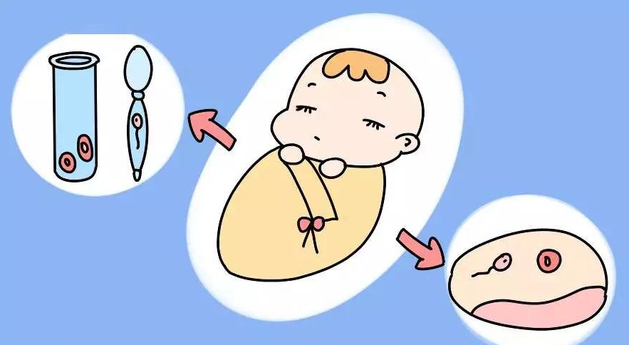 揭秘辅助生殖技术—试管婴儿